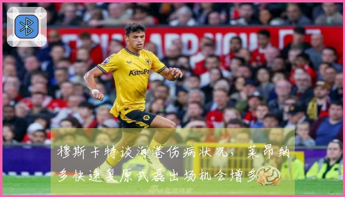 穆斯卡特谈海港伤病状况，莱昂纳多快速复原武磊出场机会增多