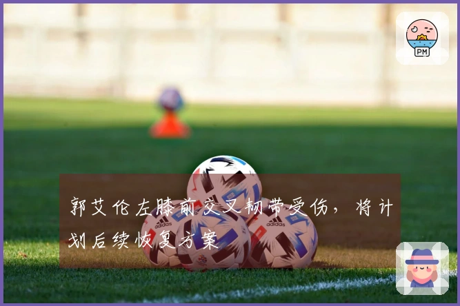 郭艾伦左膝前交叉韧带受伤，将计划后续恢复方案